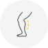Calves